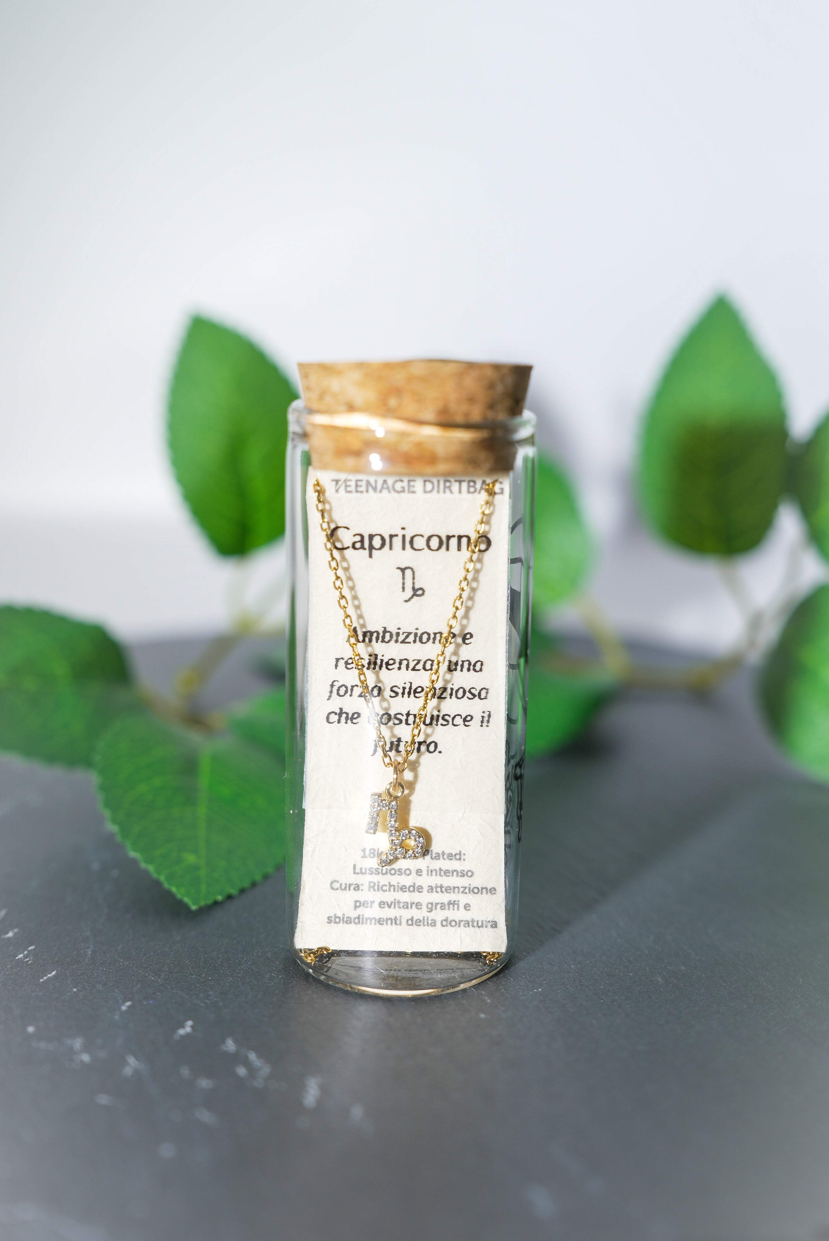 COSMIC SIGN - CAPRICORNO – Placcata Oro 18k | Teenage Dirtbag